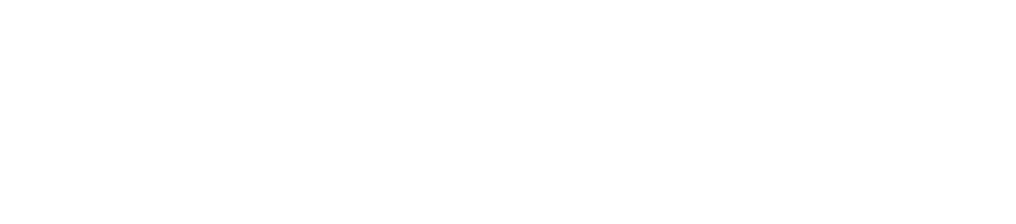 Bronic Labs