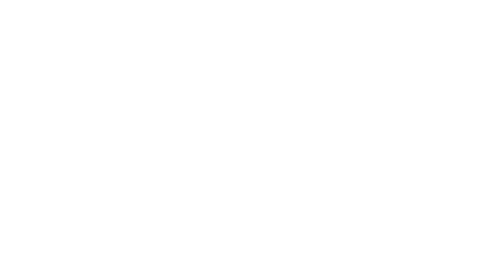 Bronic Labs