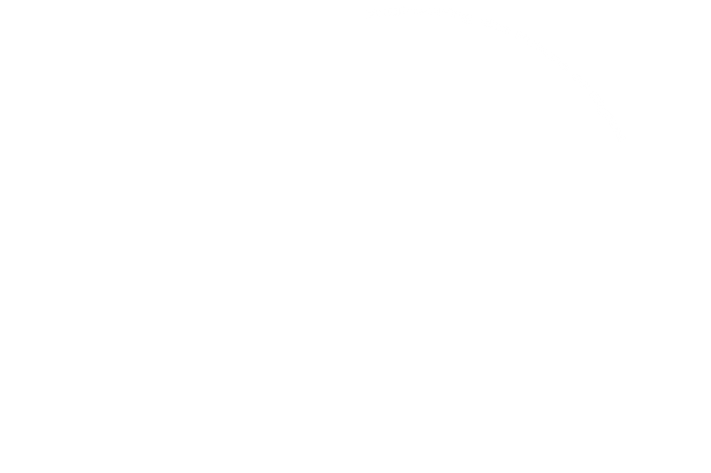 Bronic Labs - Web Development & Design Agency