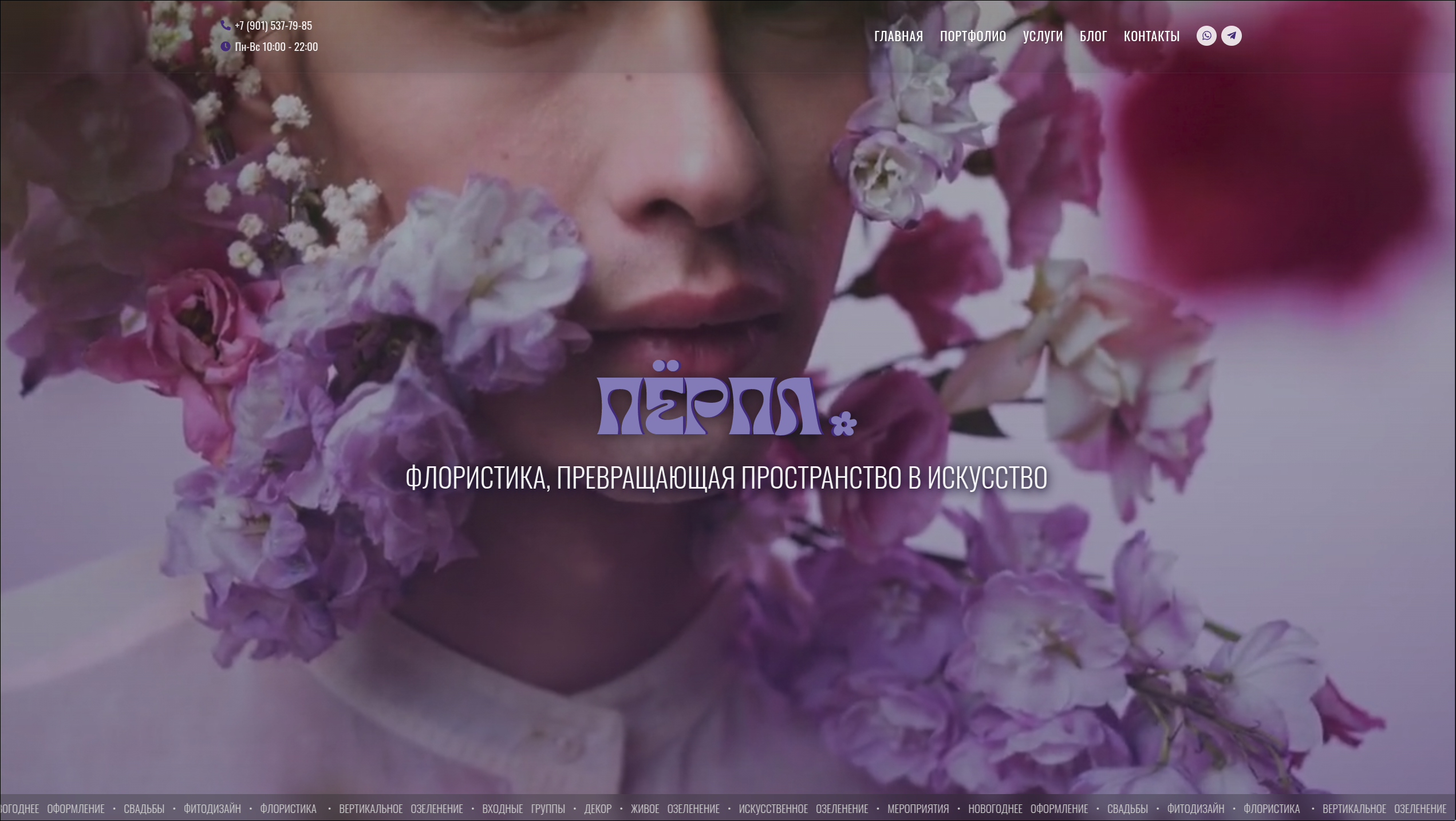 Purple Decor